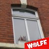 Fenster 6